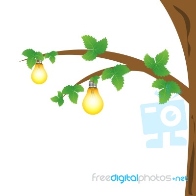 Lamps On Tree Stock Image