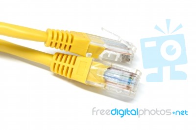 Lan Cable Stock Photo