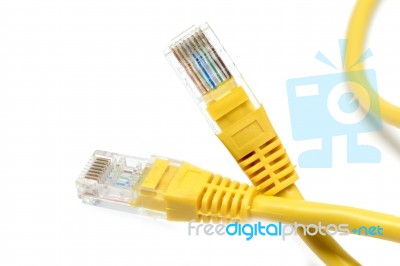 Lan Cable Stock Photo