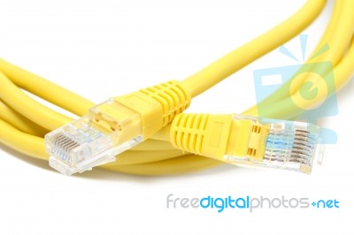 Lan Cable Stock Photo