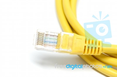 Lan Cable Stock Photo