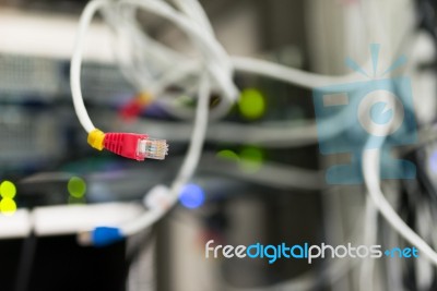 Lan Cable In Network Room Stock Photo