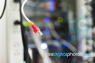 Lan Cable In Network Room Stock Photo