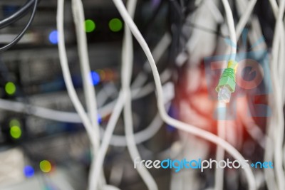 Lan Cable In Network Room Stock Photo