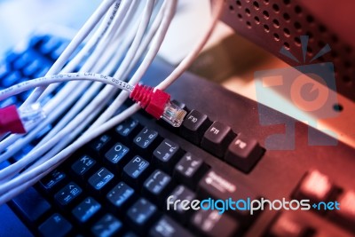 Lan Cable In Network Room Stock Photo