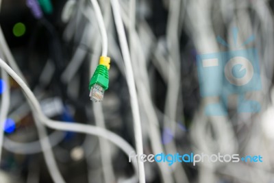 Lan Cable In Network Room Stock Photo