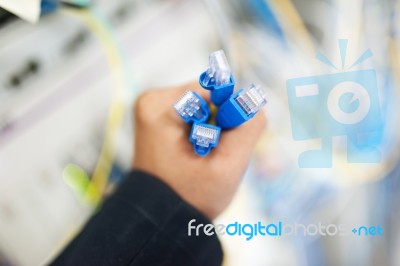 Lan Cable In Network Room Stock Photo