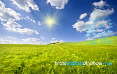 Landscape Stock Photo