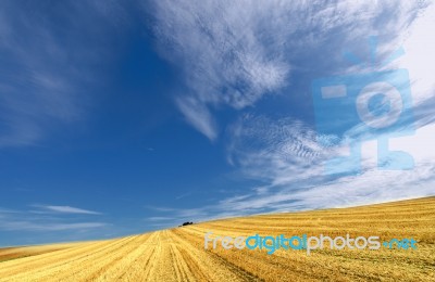 Landscape Stock Photo