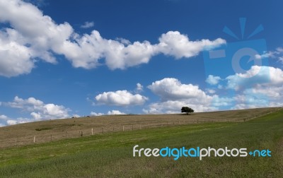 Landscape Stock Photo