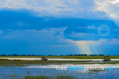 Landscape At Chobe River Stock Photo