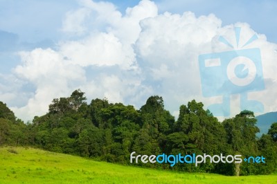 Landscape At Park, Field Against Blue Sky And Clouds Stock Photo