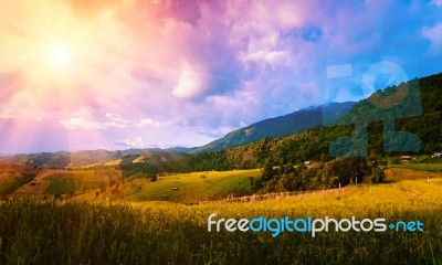 Landscape Beautiful Rice Terrace And Sunbeam In Chiang Mai,thail… Stock Photo