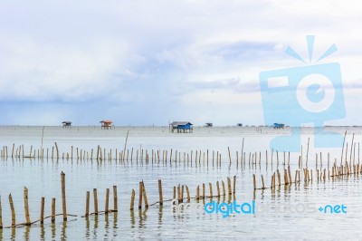 Landscape Fishing Cottage In Sea  Stock Photo