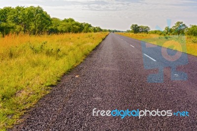 Landscape In Botswana Stock Photo