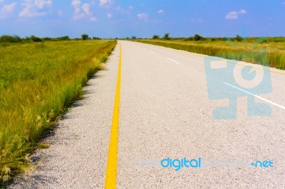 Landscape In Botswana Stock Photo