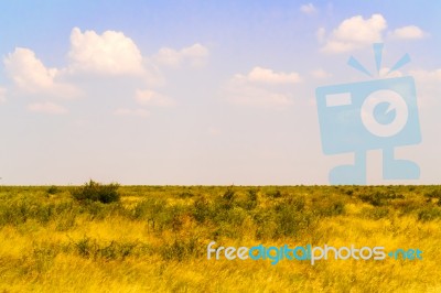 Landscape In Botswana Stock Photo