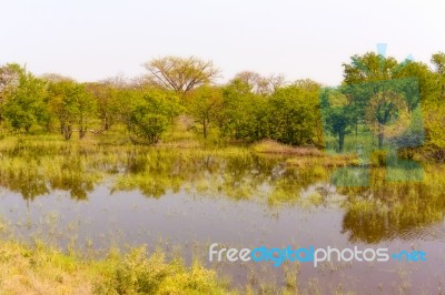 Landscape In Botswana Stock Photo