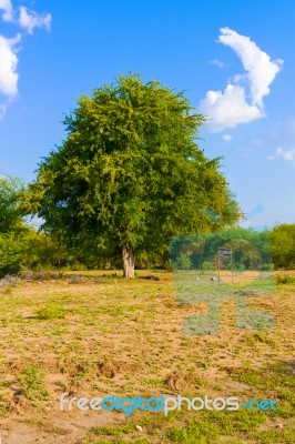 Landscape In Botswana Stock Photo