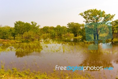 Landscape In Botswana Stock Photo