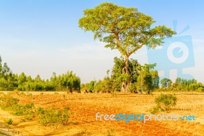 Landscape In Ethiopia Near Hamusit Stock Photo