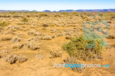 Landscape In Northern Cape, South Africa Stock Photo