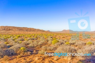 Landscape In Northern Cape, South Africa Stock Photo