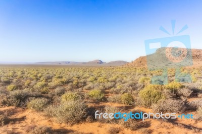 Landscape In Northern Cape, South Africa Stock Photo