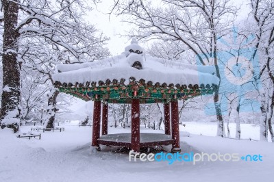 Landscape In Winter With Falling Snow In Seoul,south Korea Stock Photo