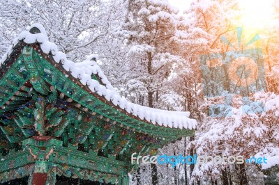 Landscape In Winter With Roof Of Gyeongbokgung And Falling Snow Stock Photo