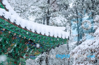 Landscape In Winter With Roof Of Gyeongbokgung And Falling Snow In Seoul,south Korea Stock Photo