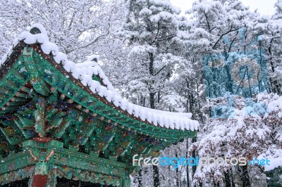 Landscape In Winter With Roof Of Gyeongbokgung And Falling Snow In Seoul,south Korea Stock Photo