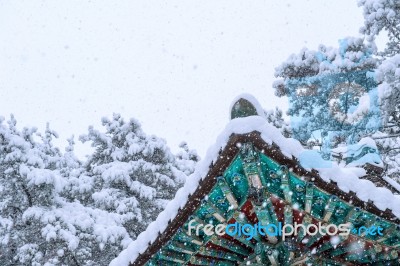 Landscape In Winter With Roof Of Gyeongbokgung And Falling Snow In Seoul,south Korea Stock Photo