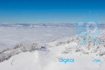 Landscape In Winter,deogyusan In Korea Stock Photo