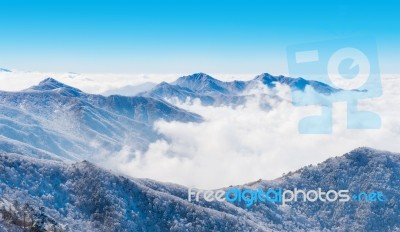 Landscape In Winter,deogyusan In Korea Stock Photo