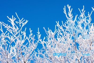 Landscape In Winter,deogyusan In Korea Stock Photo