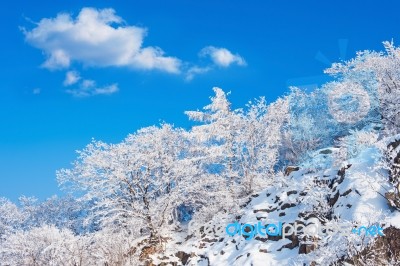 Landscape In Winter,guemosan In Korea Stock Photo