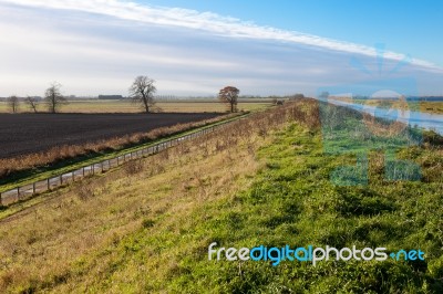 Landscape Near Ely Stock Photo