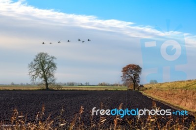 Landscape Near Ely Stock Photo