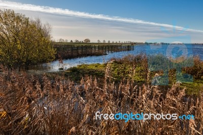 Landscape Near Ely Stock Photo