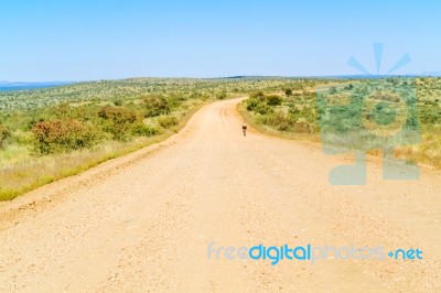 Landscape Near Windhoek In South Africa Stock Photo