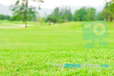 Landscape Of A Green Field Stock Photo