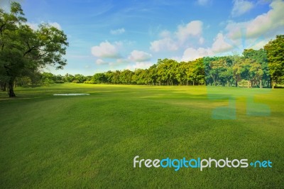 Landscape Of Grass Field And Green Environment Public Park Use As Natural Background,backdrop Stock Photo