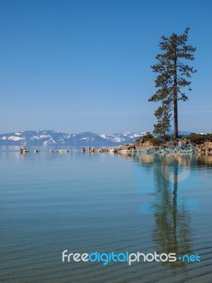 Landscape Of Lake Tahoe Stock Photo