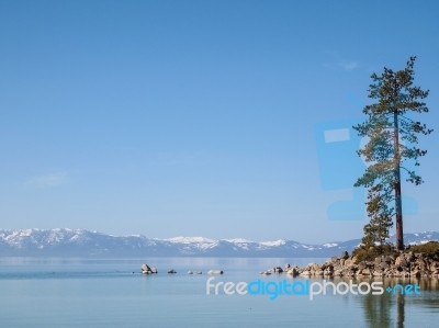 Landscape Of Lake Tahoe Stock Photo