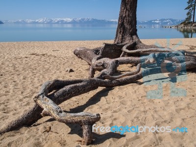 Landscape Of Lake Tahoe Stock Photo