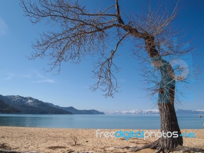 Landscape Of Lake Tahoe Stock Photo