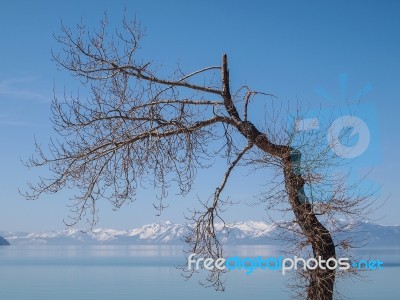 Landscape Of Lake Tahoe Stock Photo