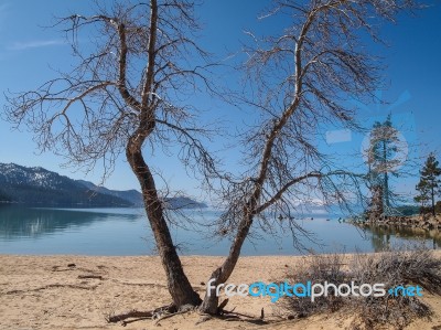 Landscape Of Lake Tahoe Stock Photo