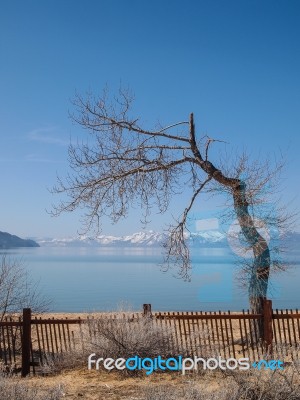 Landscape Of Lake Tahoe Stock Photo